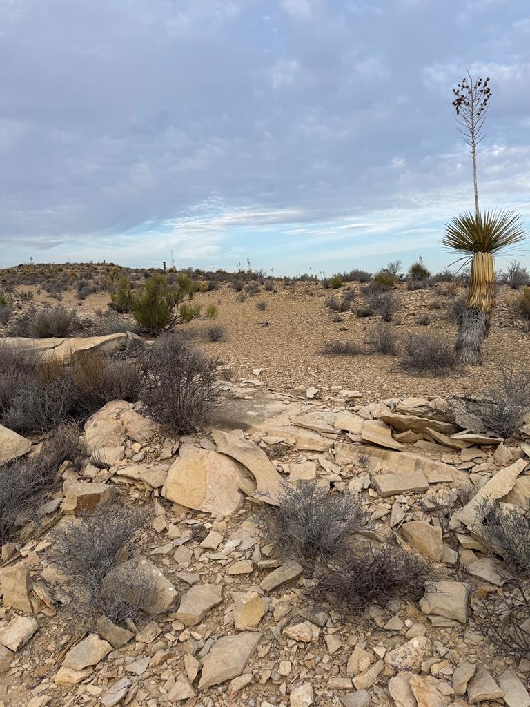 4029 Fort Clark Dr, Terlingua, Louisiana image 1
