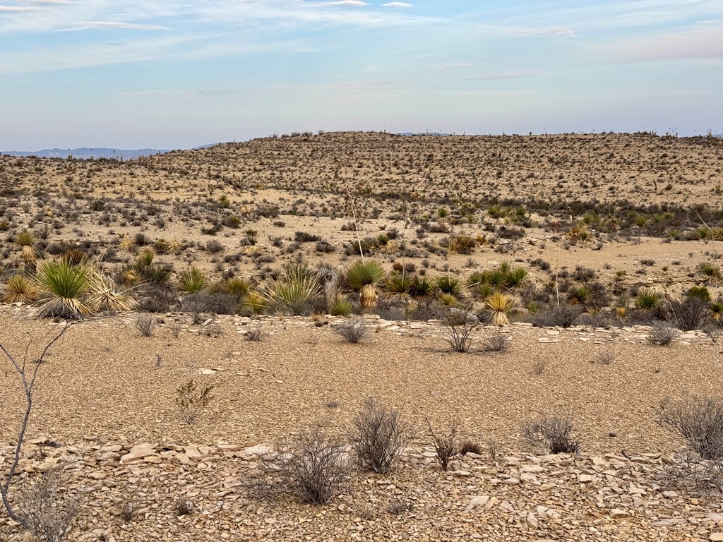 4029 Fort Clark Dr, Terlingua, Louisiana image 18