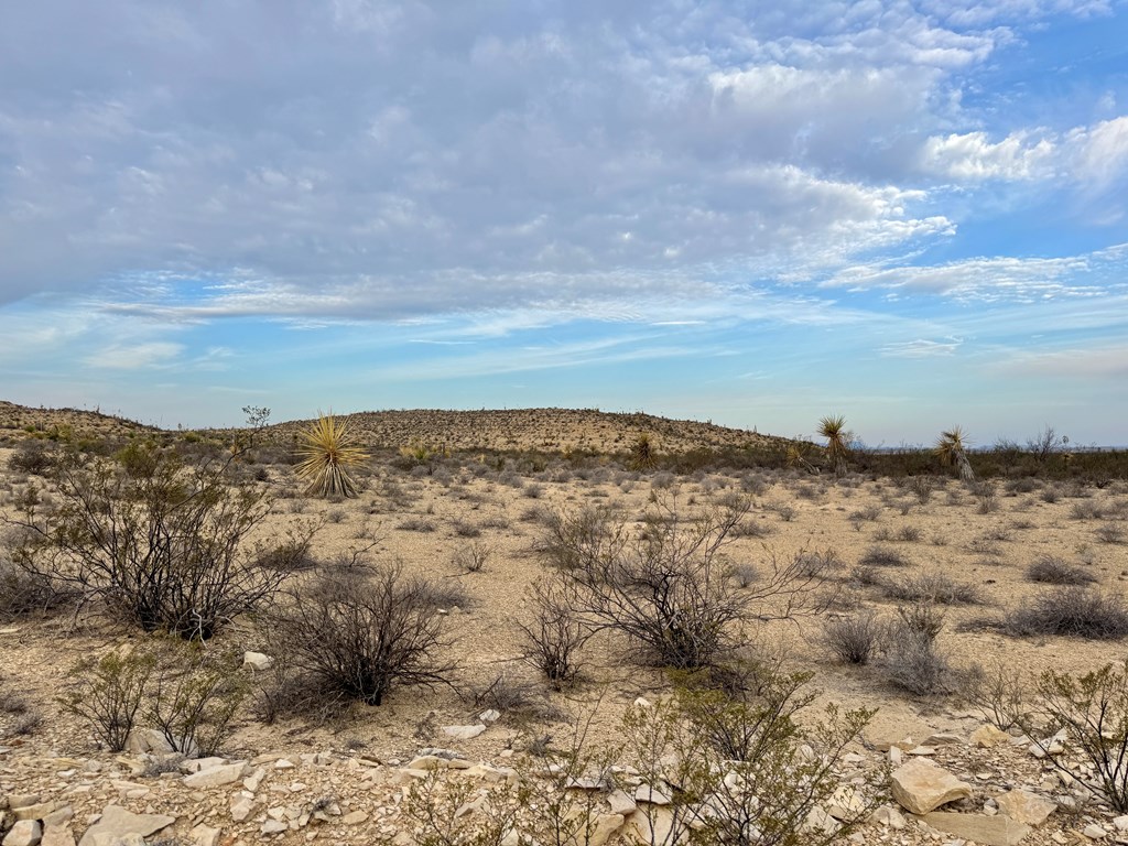 4029 Fort Clark Dr, Terlingua, Louisiana image 9