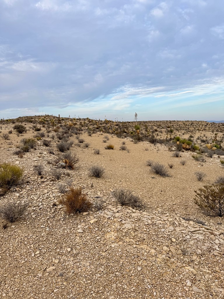 4029 Fort Clark Dr, Terlingua, Louisiana image 13