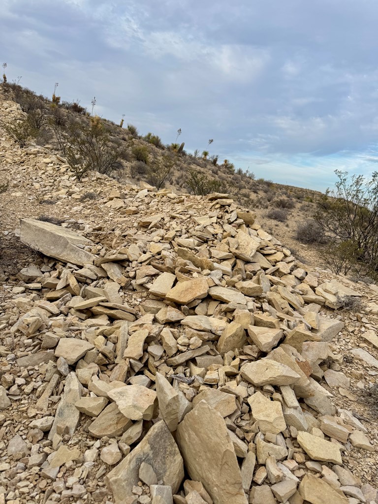 4029 Fort Clark Dr, Terlingua, Louisiana image 10