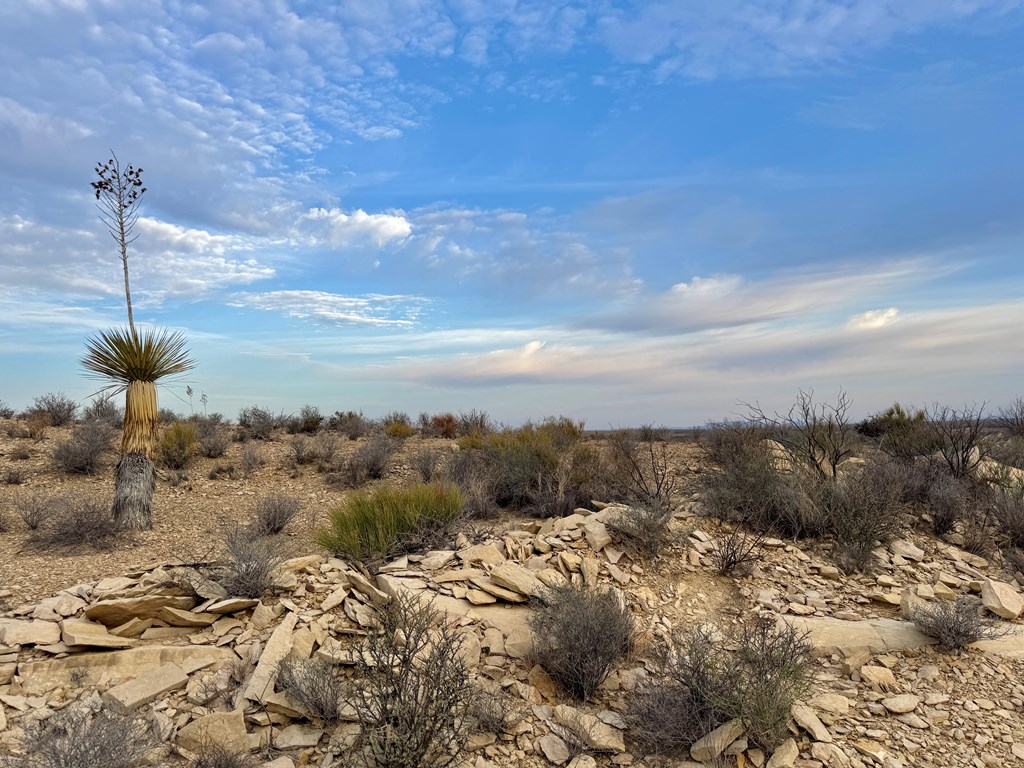 4029 Fort Clark Dr, Terlingua, Louisiana image 2