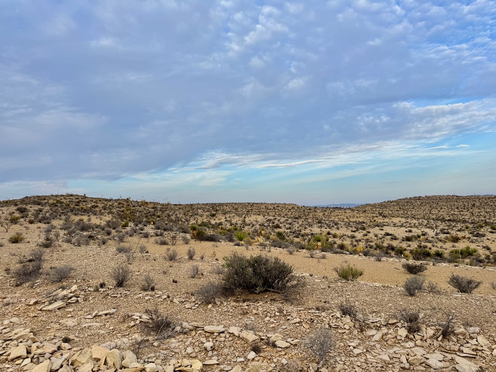 4029 Fort Clark Dr, Terlingua, Louisiana image 25