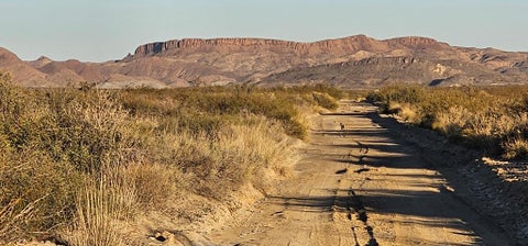 Vacant Land For Sale - 598 Starhaven Lane<br/> Brewster County, Terlingua, TX 