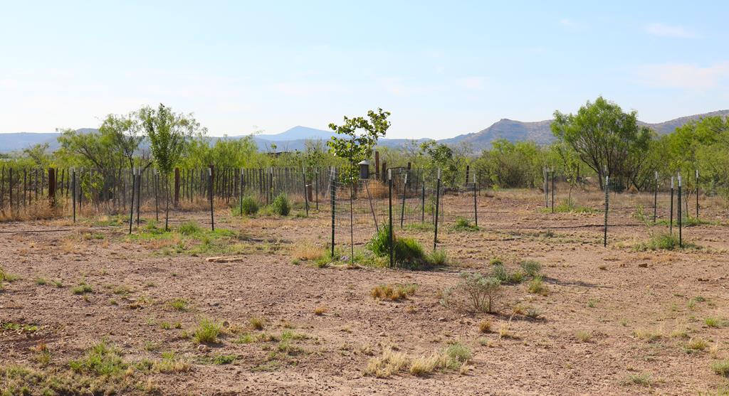 410 Mountain View Rd, Alpine, Texas image 23