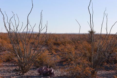 Vacant Land For Sale - 8062 Hwy 67<br/> Presidio, TX 79845