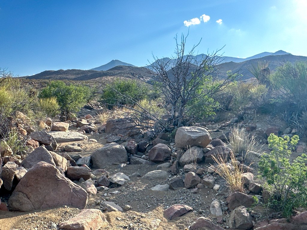 TBD Old Marathon Road, Terlingua, Alabama image 15