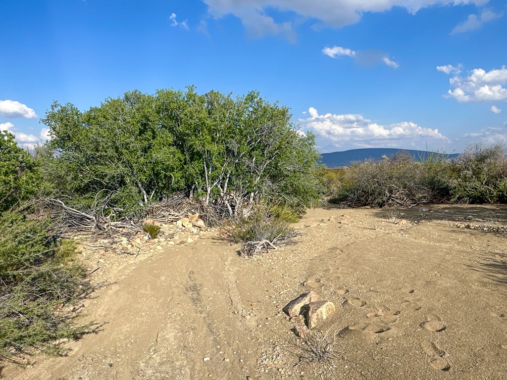 TBD Old Marathon Road, Terlingua, Alabama image 13