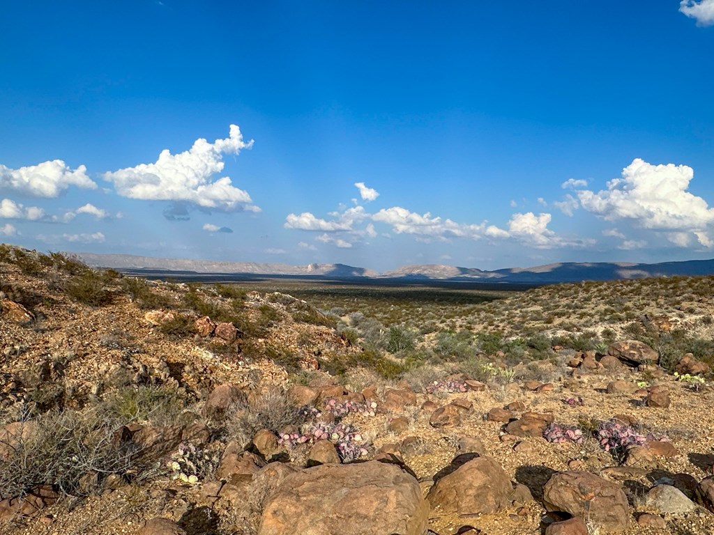 TBD Old Marathon Road, Terlingua, Alabama image 16