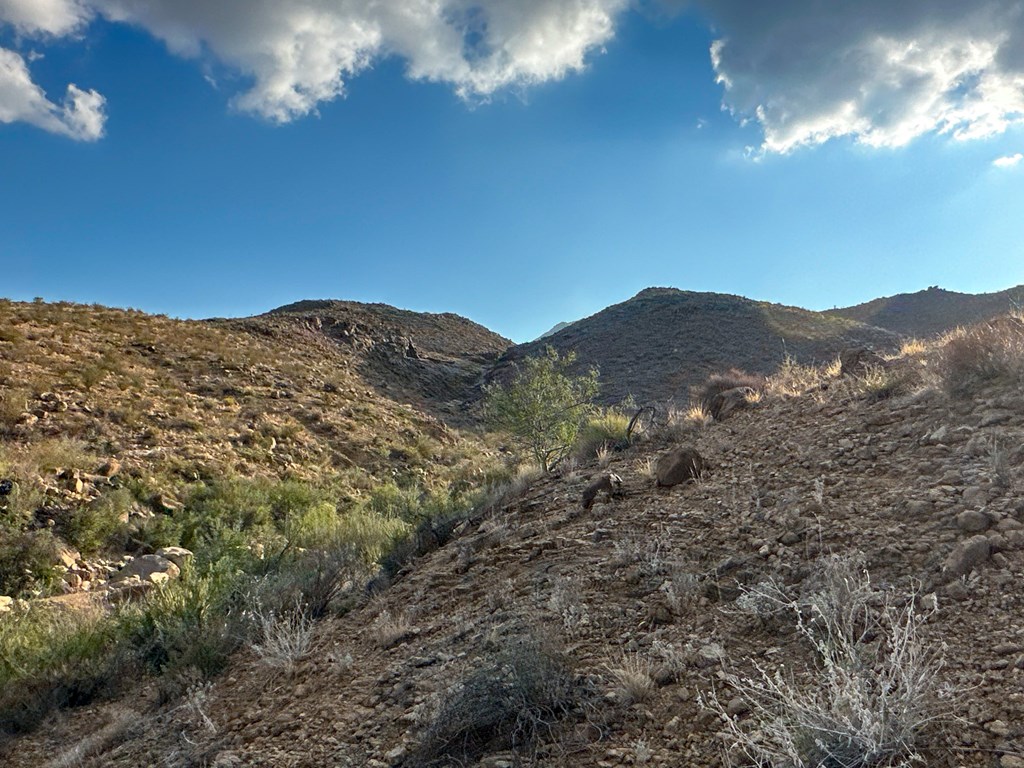 TBD Old Marathon Road, Terlingua, Alabama image 2