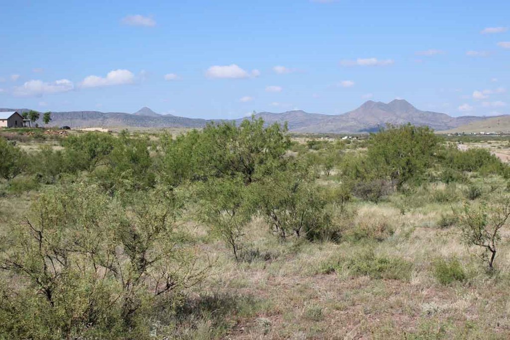 TR 24R Sierra La Rana, Alpine, Texas image 8