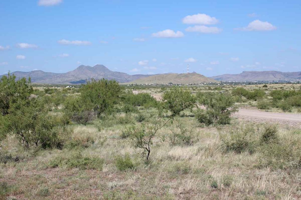 TR 24R Sierra La Rana, Alpine, Texas image 6