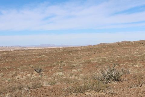 Vacant Land For Sale - 109 North Cervenka Road<br/> Terlingua, TX 79852