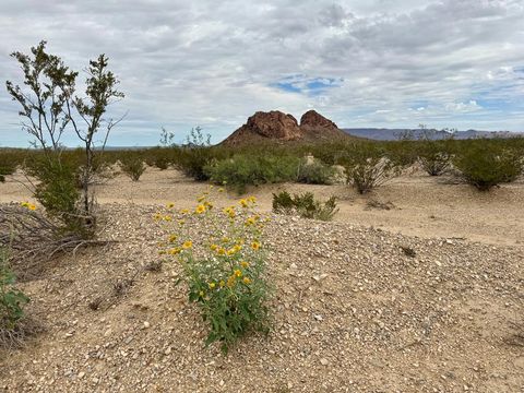 Vacant Land For Sale - TR NC876 War Zone Rd<br/> Brewster County, Terlingua, TX 79852