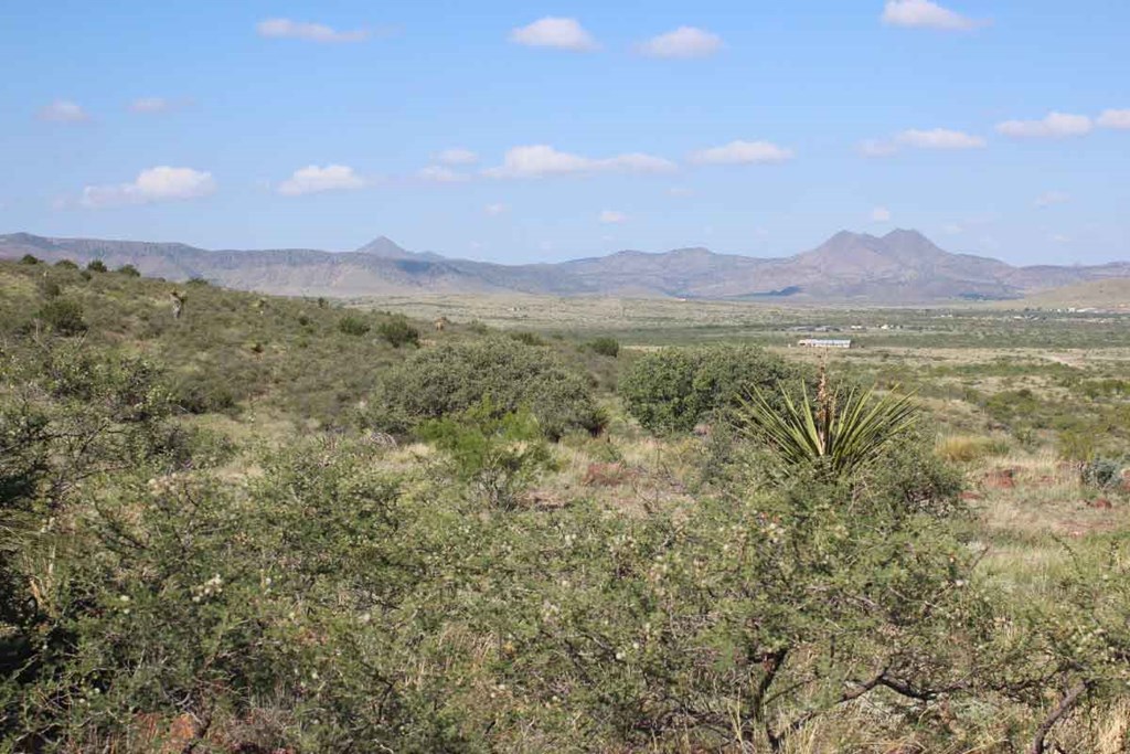 Tract 20 Sierra La Rana, Alpine, Texas image 8