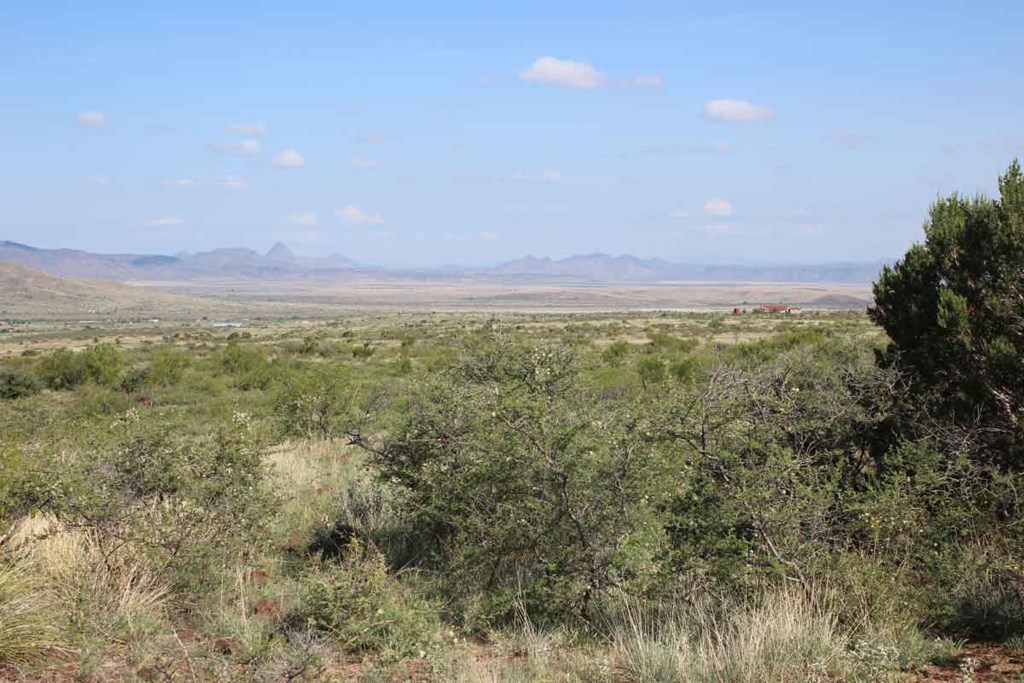 Tract 20 Sierra La Rana, Alpine, Texas image 7