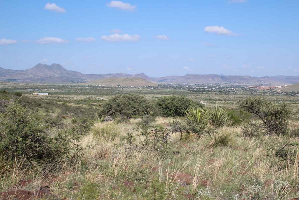 Tract 20 Sierra La Rana, Alpine, Texas image 6