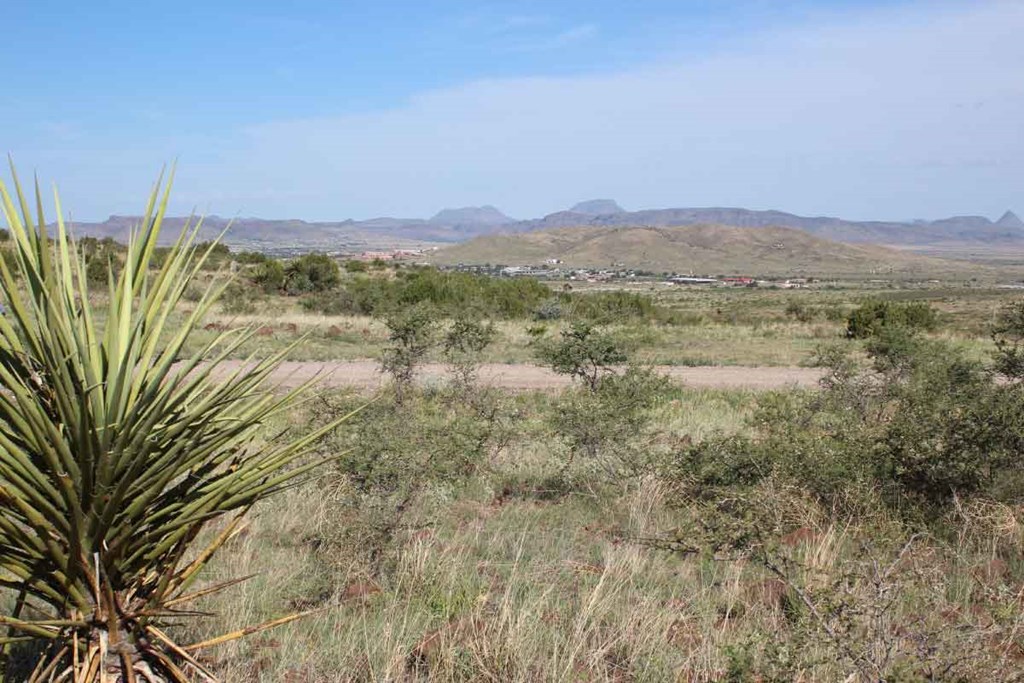 Tract 39 Sierra La Rana, Alpine, Texas image 6