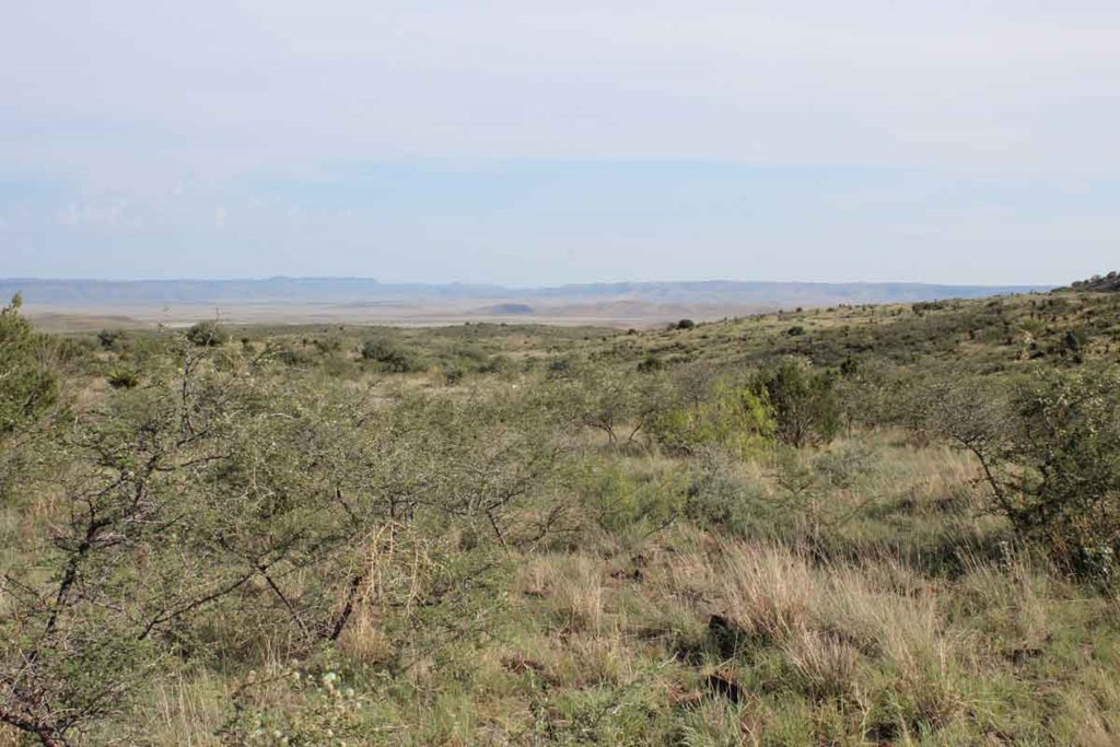 Tract 39 Sierra La Rana, Alpine, Texas image 7
