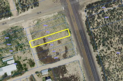 Vacant Land For Sale - TBD Pyote<br/> Pyote, TX 79777