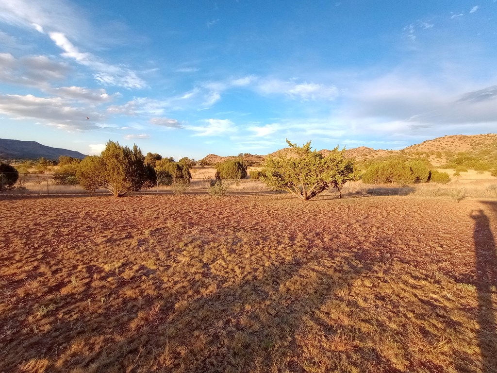 123 Silver Hill Dr, Fort Davis, Texas image 43