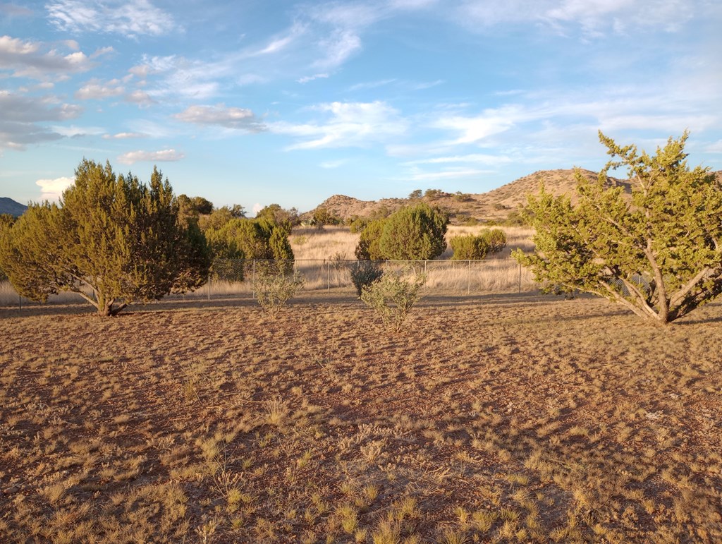 123 Silver Hill Dr, Fort Davis, Texas image 44