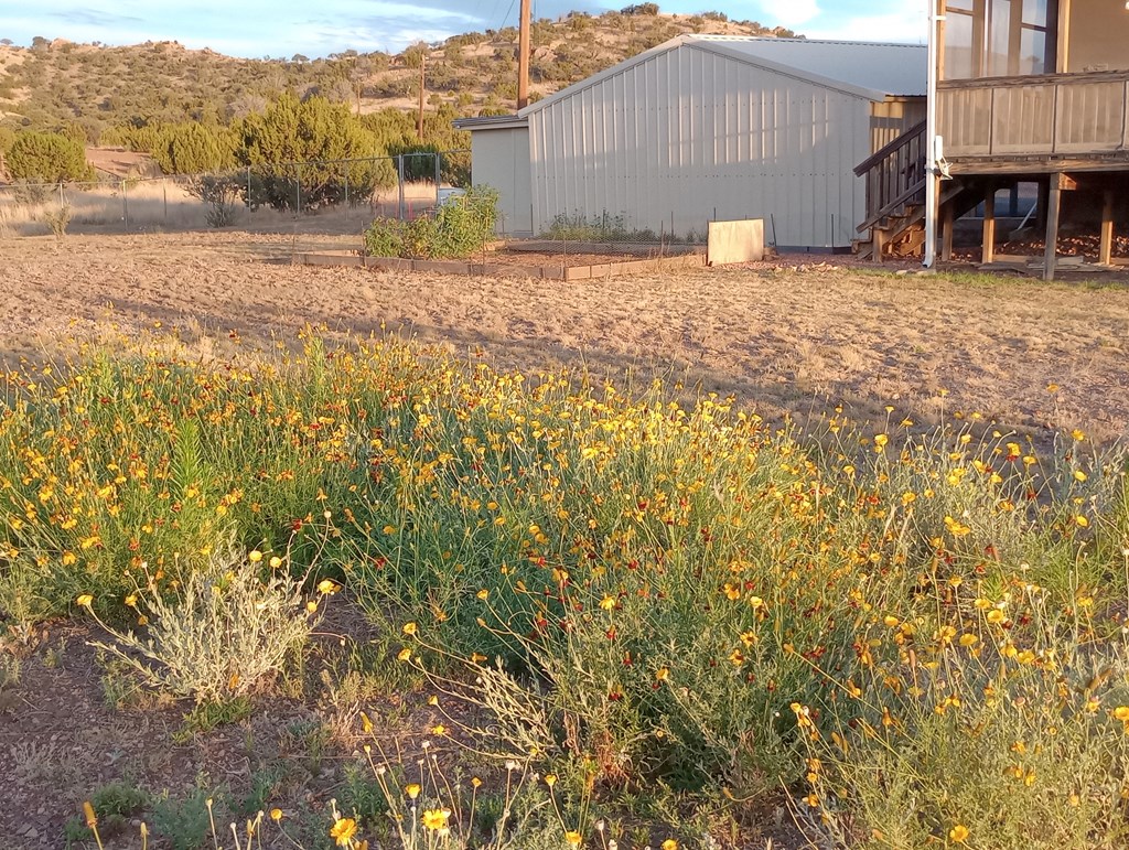 123 Silver Hill Dr, Fort Davis, Texas image 42