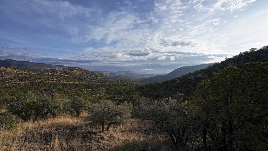 106 Whiskey Run, Fort Davis, Texas image 27