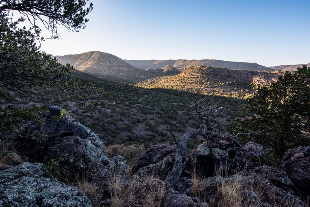 106 Whiskey Run, Fort Davis, Texas image 19