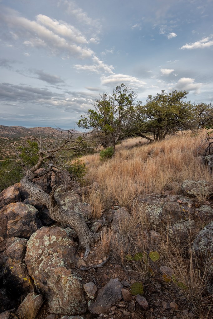 106 Whiskey Run, Fort Davis, Texas image 23