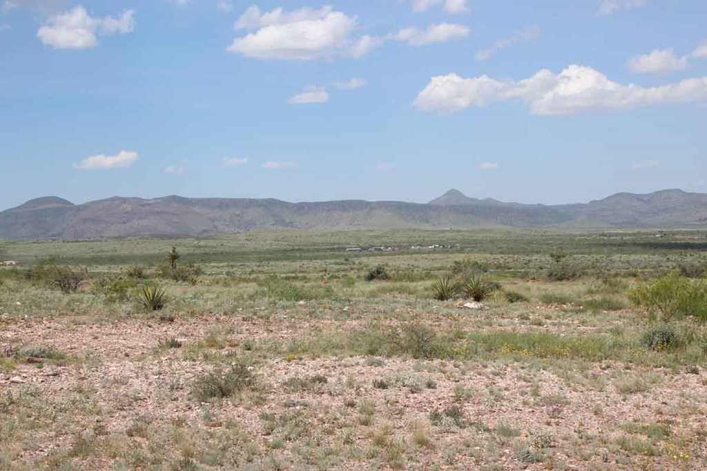 Tract 7 Sierra La Rana, Alpine, Texas image 7