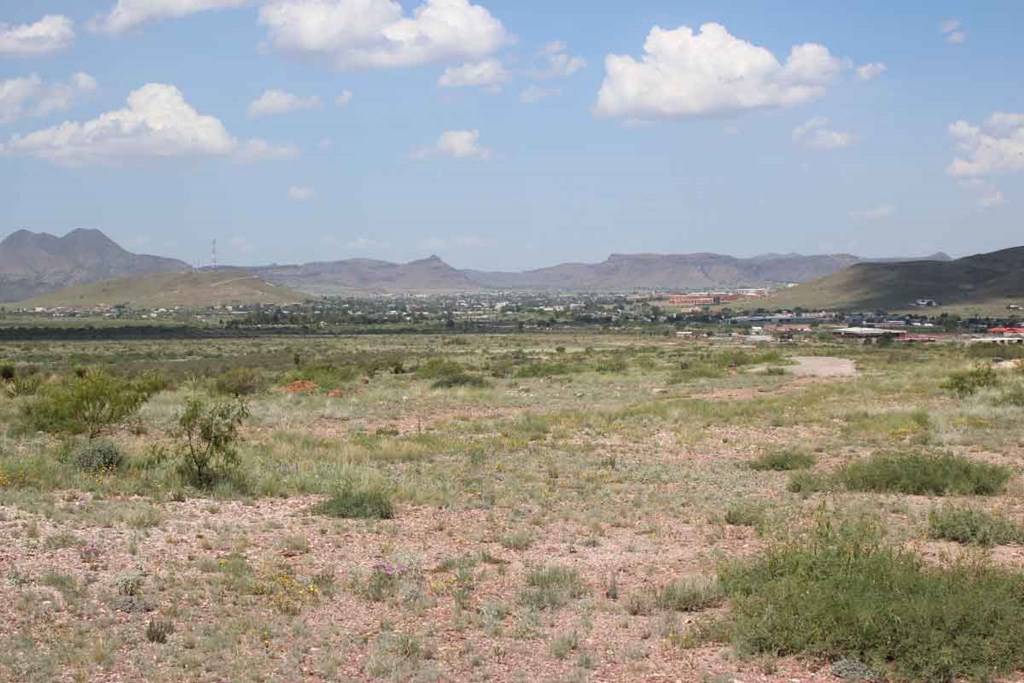 Tract 7 Sierra La Rana, Alpine, Texas image 6