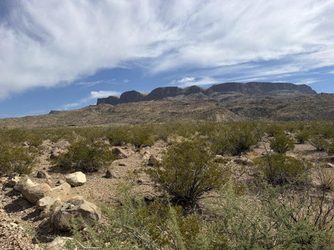 Vacant Land For Sale - TR4554 Business 20<br/> Terlingua, TX 79852