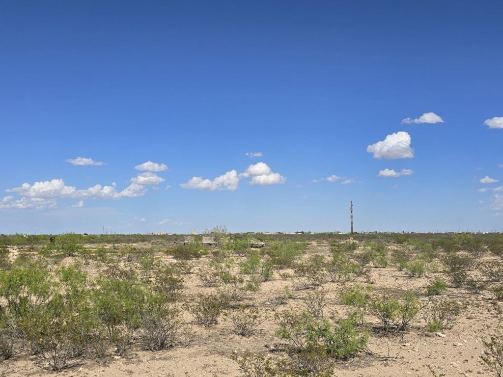 4328 W Blue Waters St, Odessa, Texas image 3