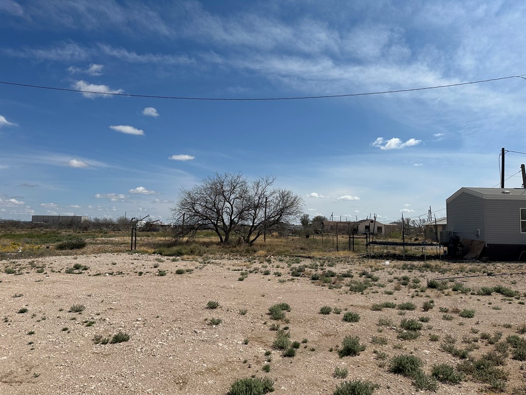 4600 S Veronica St, Monahans, Texas image 4