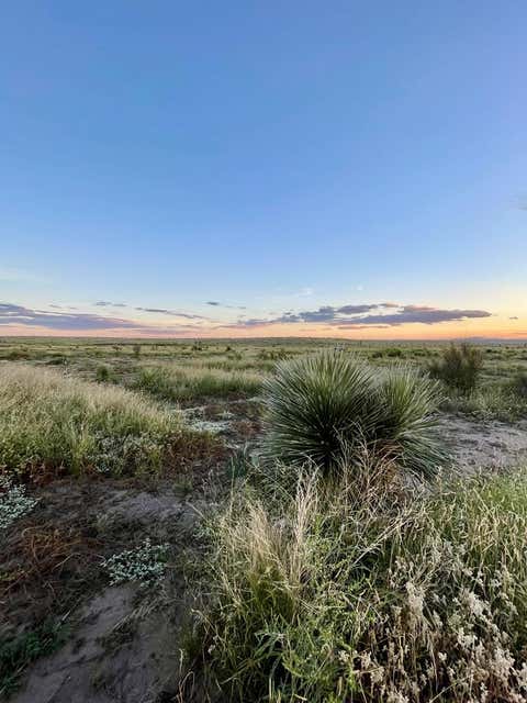 Vacant Land For Sale - 1851 Rabbit Rd<br/> Marfa, TX 79843