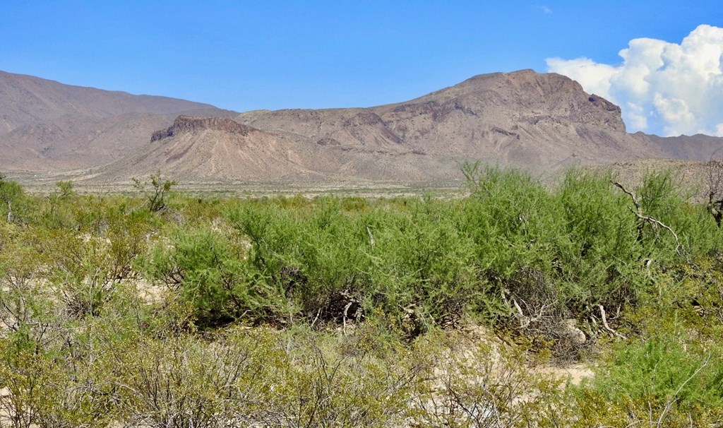 3615 Marathon, Terlingua, Pennsylvania image 5