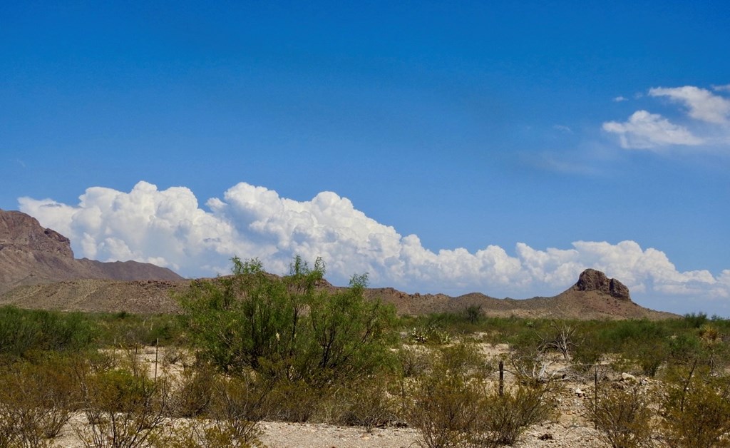 3615 Marathon, Terlingua, Pennsylvania image 2