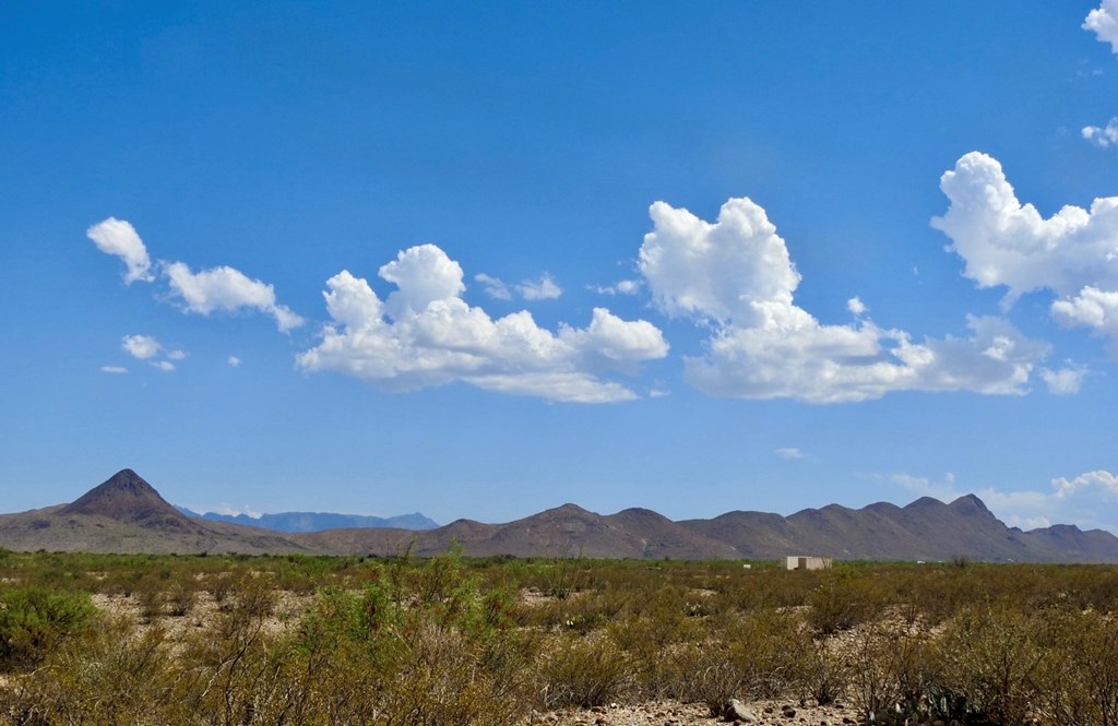 3615 Marathon, Terlingua, Pennsylvania image 27
