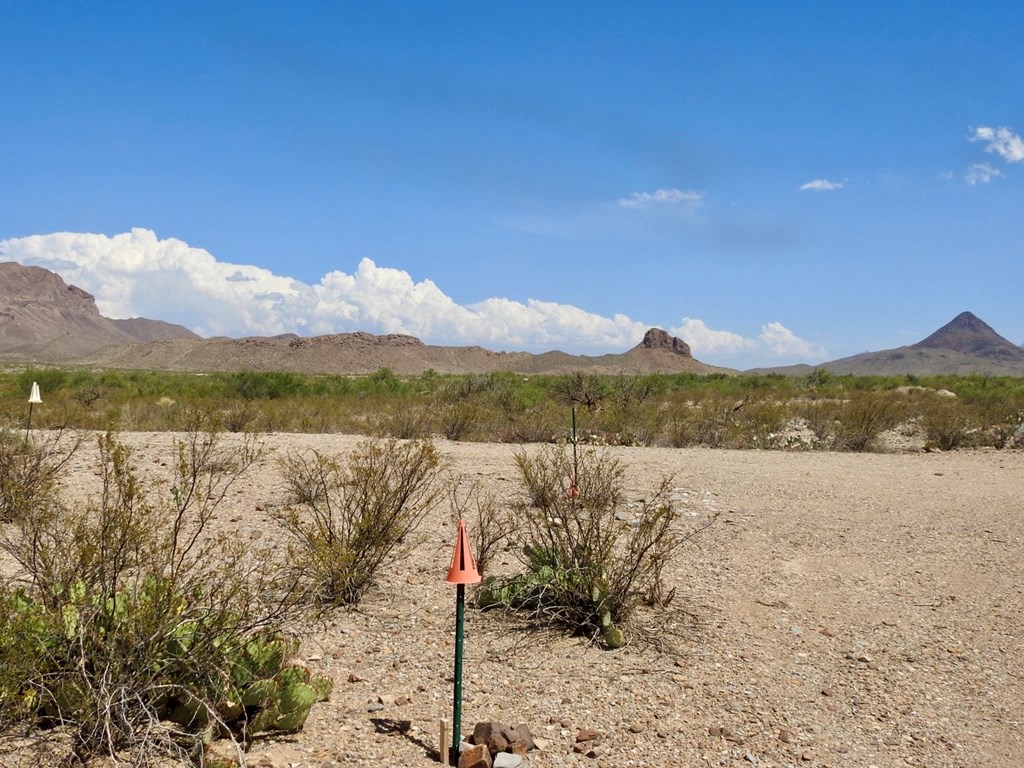 3615 Marathon, Terlingua, Pennsylvania image 16