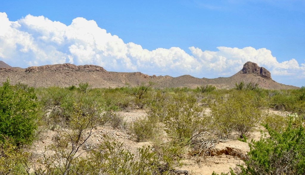 3615 Marathon, Terlingua, Pennsylvania image 8