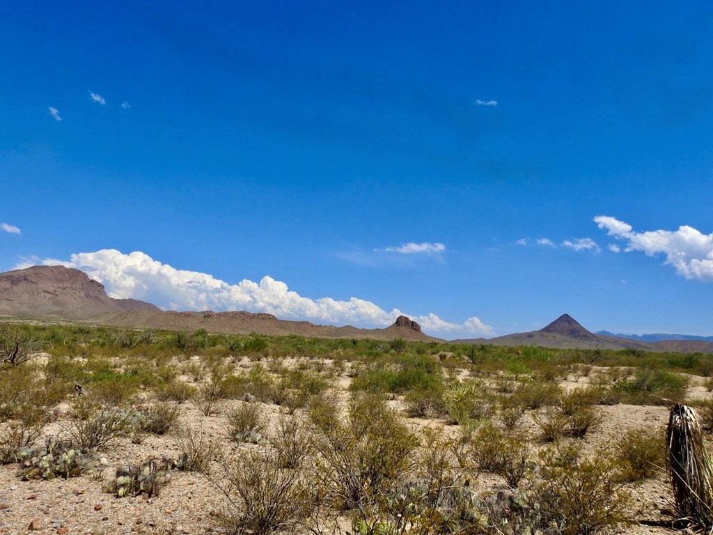 3615 Marathon, Terlingua, Pennsylvania image 20