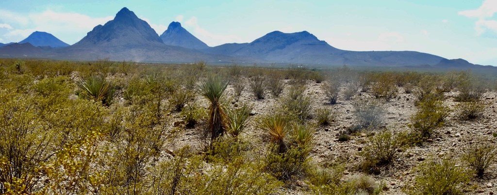 3615 Marathon, Terlingua, Pennsylvania image 25