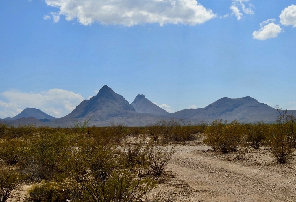 3615 Marathon, Terlingua, Pennsylvania image 24