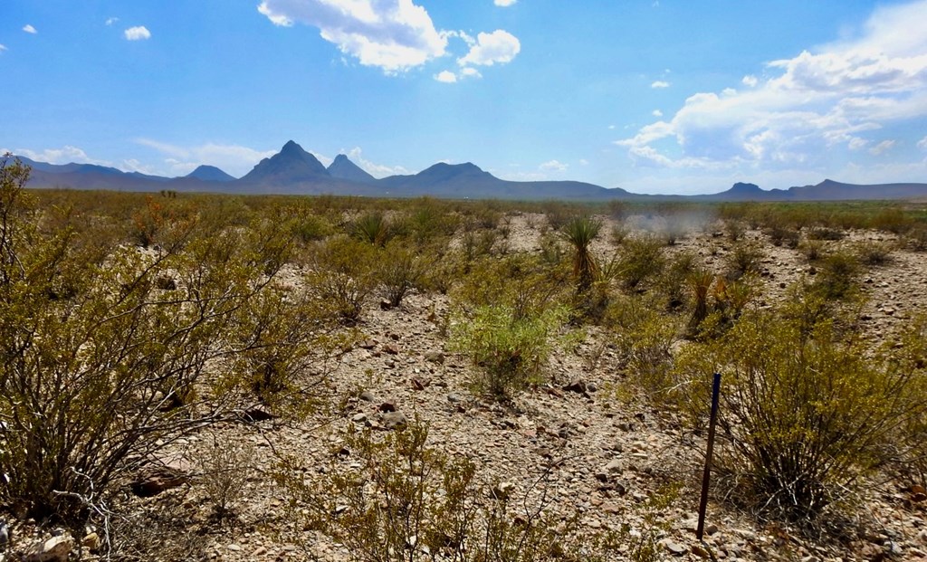 3615 Marathon, Terlingua, Pennsylvania image 29