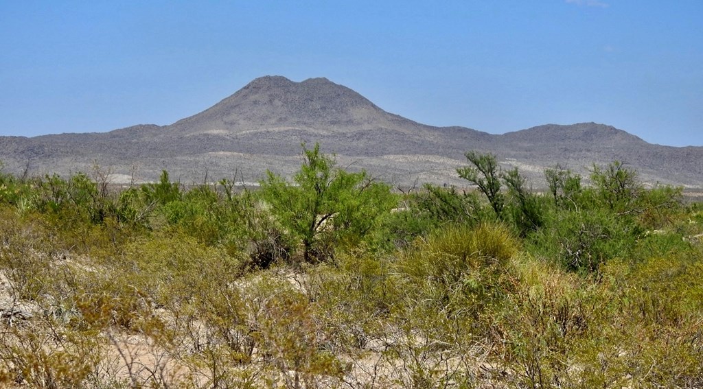 3615 Marathon, Terlingua, Pennsylvania image 9