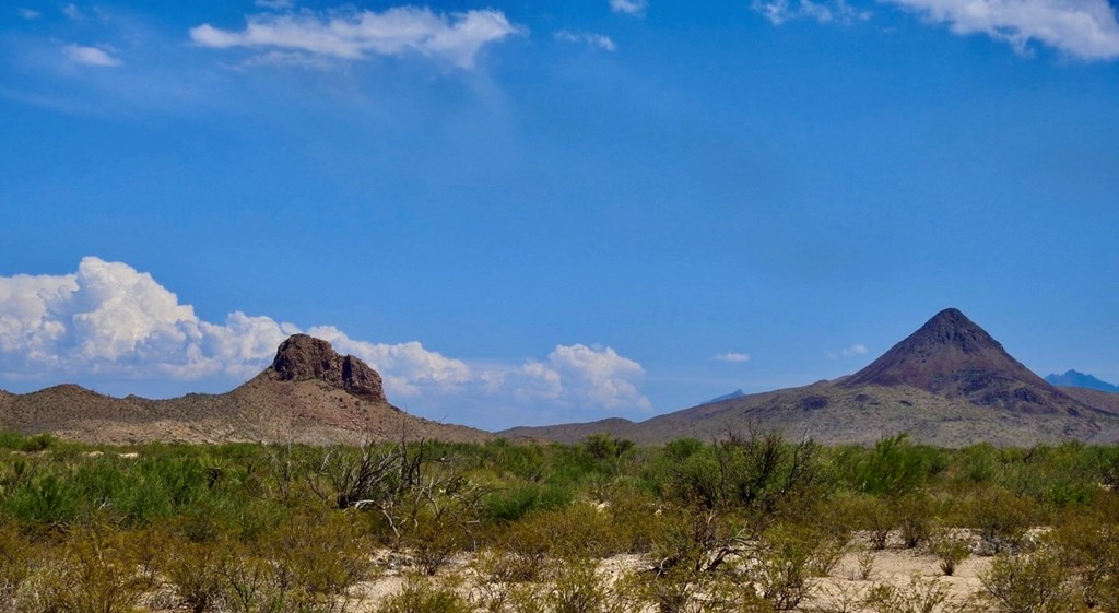 3615 Marathon, Terlingua, Pennsylvania image 10
