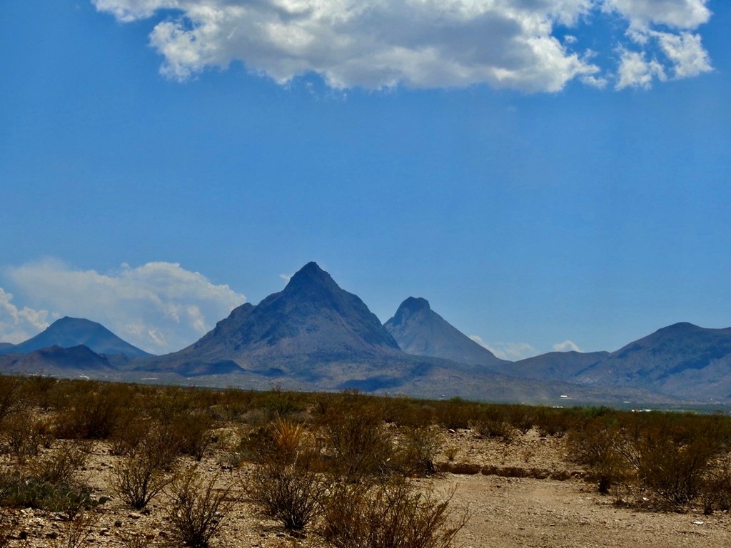 3615 Marathon, Terlingua, Pennsylvania image 18