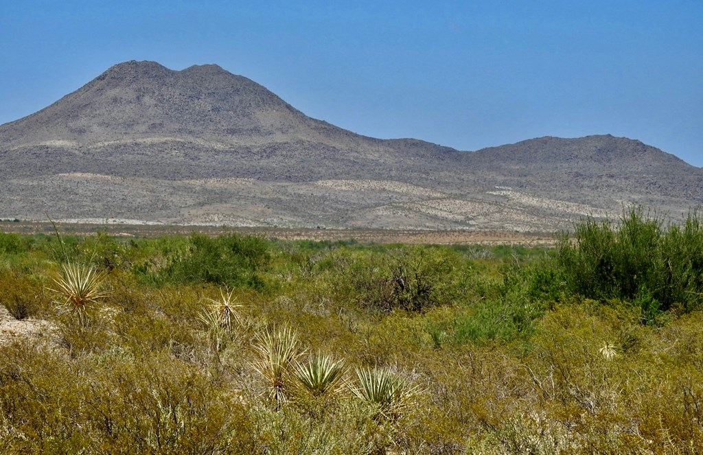3615 Marathon, Terlingua, Pennsylvania image 7