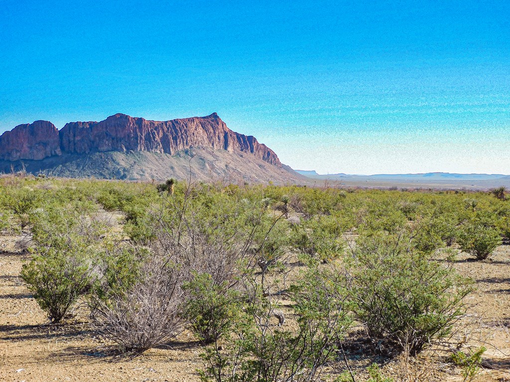 15413 Amarillo St, Terlingua, Texas image 9